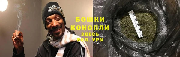 молекула духа Баксан