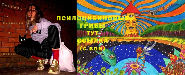 молекула духа Баксан