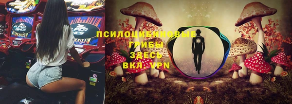гашик Балахна